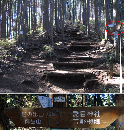 20151127hike (150)